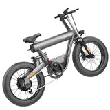 T20 48V 500W 20 Electric Beach Mountain Bike2